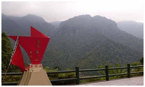 2026最新龙岛异兽快速升级官网入口在哪？附龙种强度排行